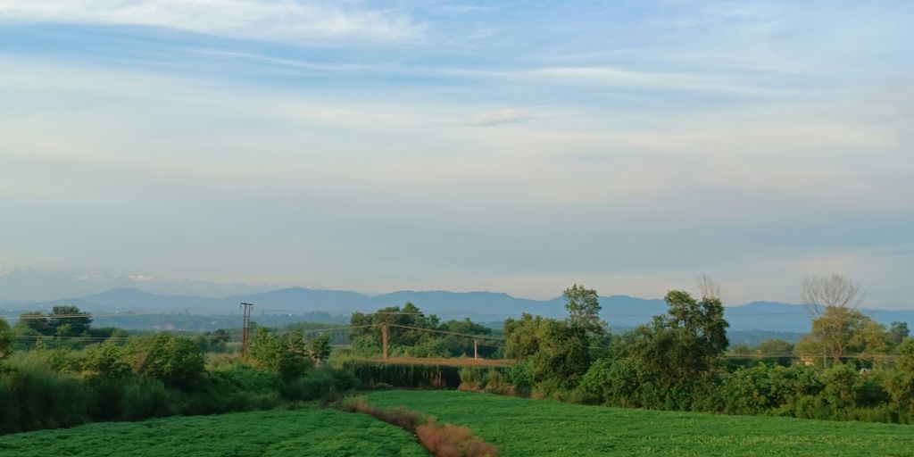 a green field with a dirt path running through it